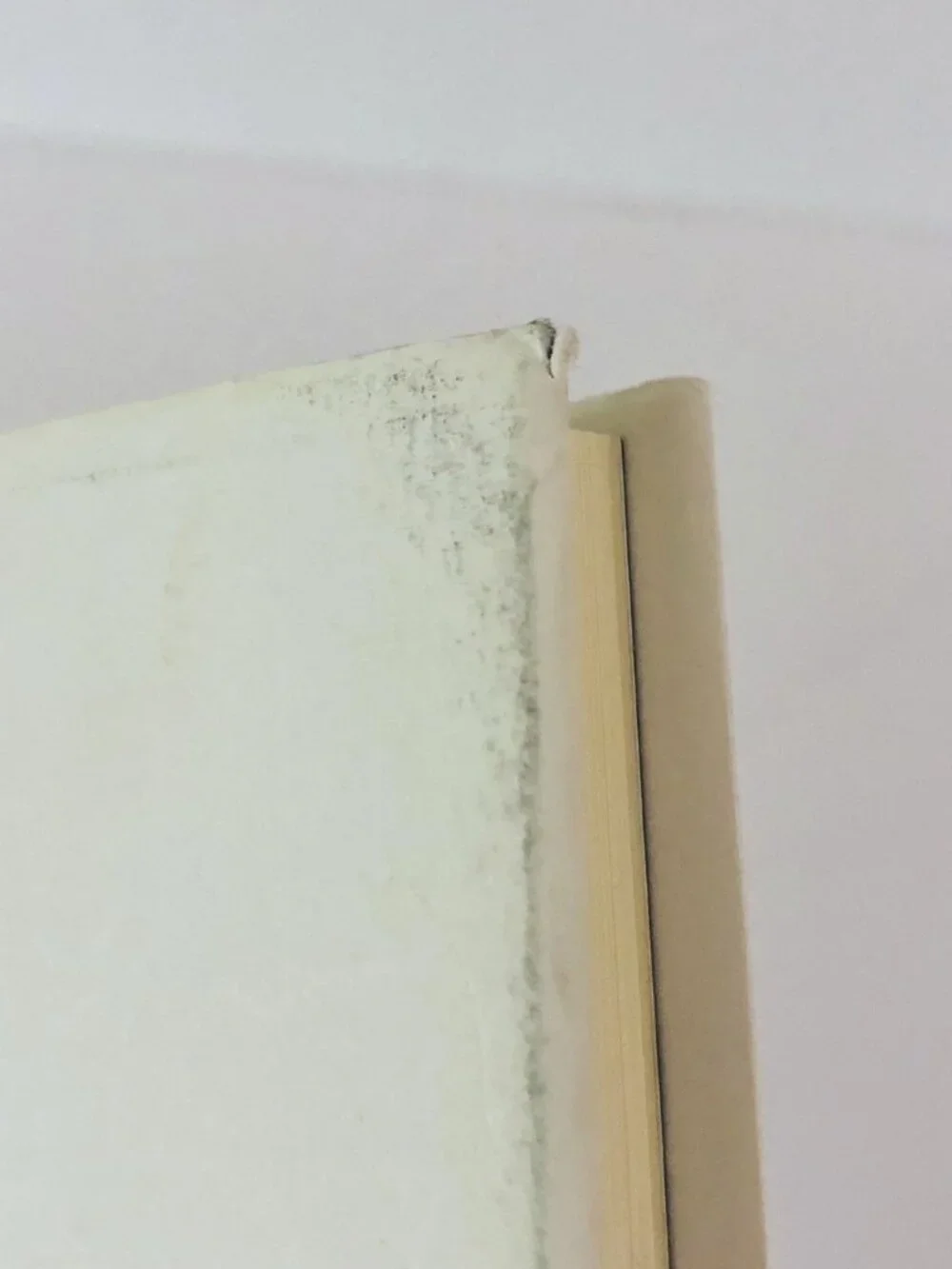 Naoki Matayoshi written japanese